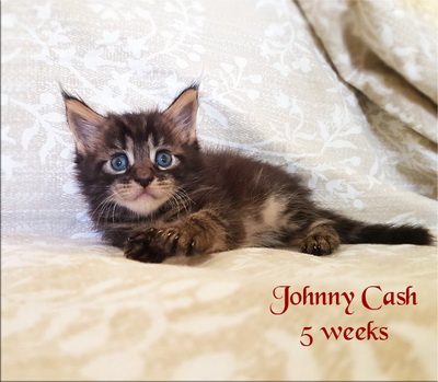JohnnyCash5