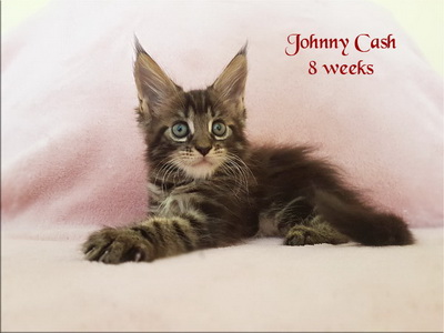 Johnnycash8