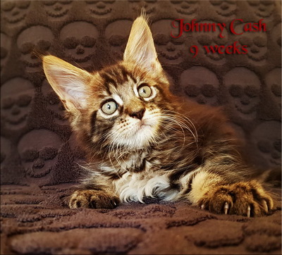 JohnnyCash9
