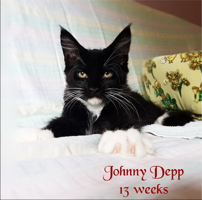 JohnnyDepp13