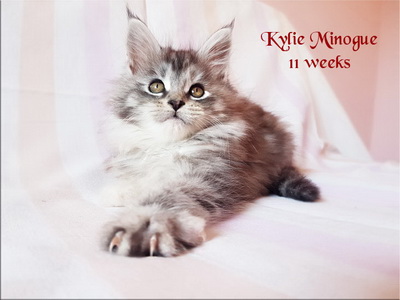 KylieMinogue11w