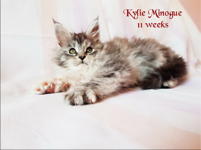 KylieMinogue11w