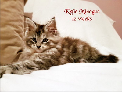 KylieMinogue12w