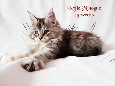 KylieMinogue13w