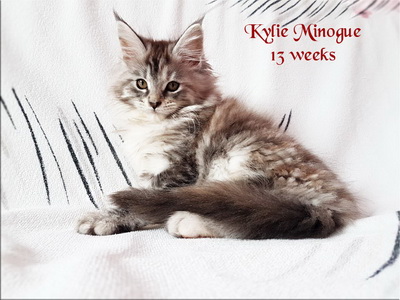 KylieMinogue13w