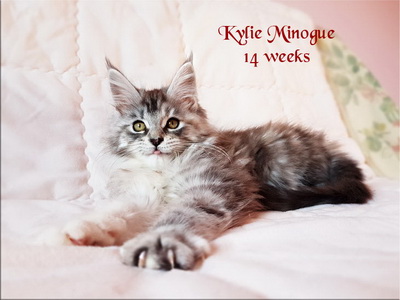 KylieMinogue14w