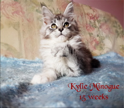 KylieMinogue15w