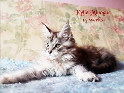 KylieMinogue15w