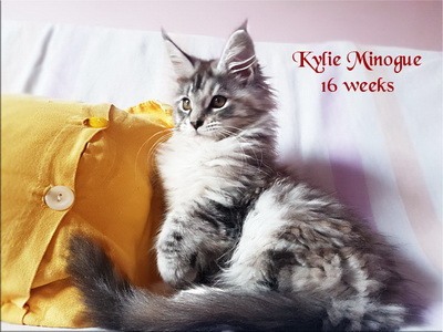 KylieMinogue16w