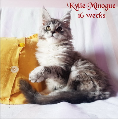 KylieMinogue16w