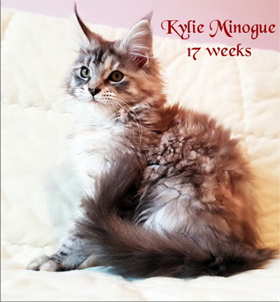 Kylie Minogue17w