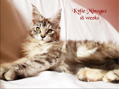 KylieMinogue18w