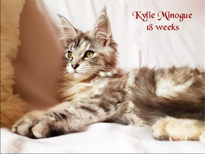 KylieMinogue18w