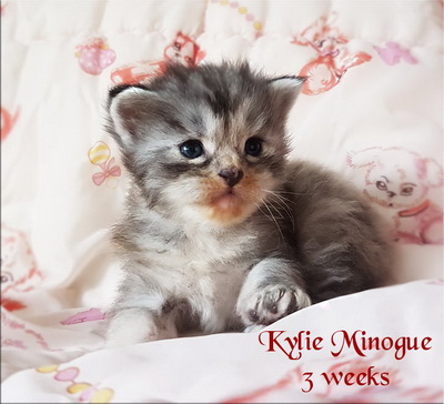 KylieMinogue3weeks