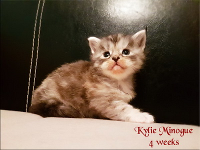KylieMinogue4weeks