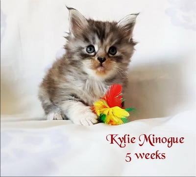 KylieMinogue5weeks