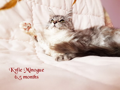 KylieMinogue6,5months