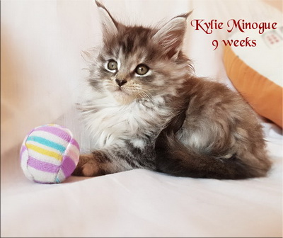 KylieMinogue9weeks