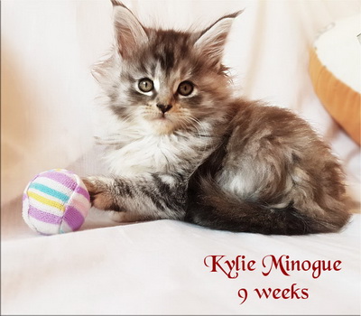 KylieMinogue9weeks
