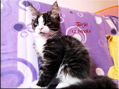 tarja12